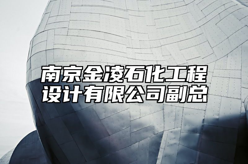 南京金凌石化工程设计有限公司副总